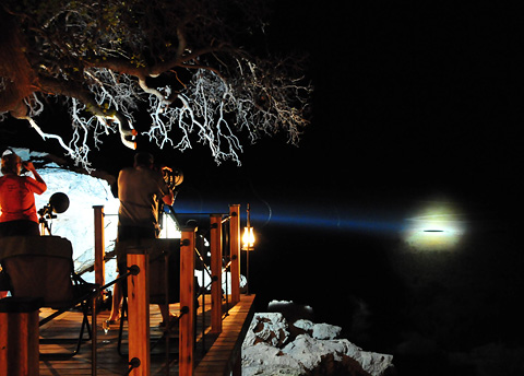 relais-semnon | Spotlight Safari Night Tour: Nocturnal Adventures in Kakadu