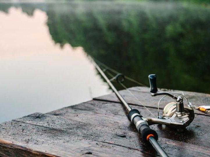 Joining the Exmouth Game Fishing Club: Tips for Anglers