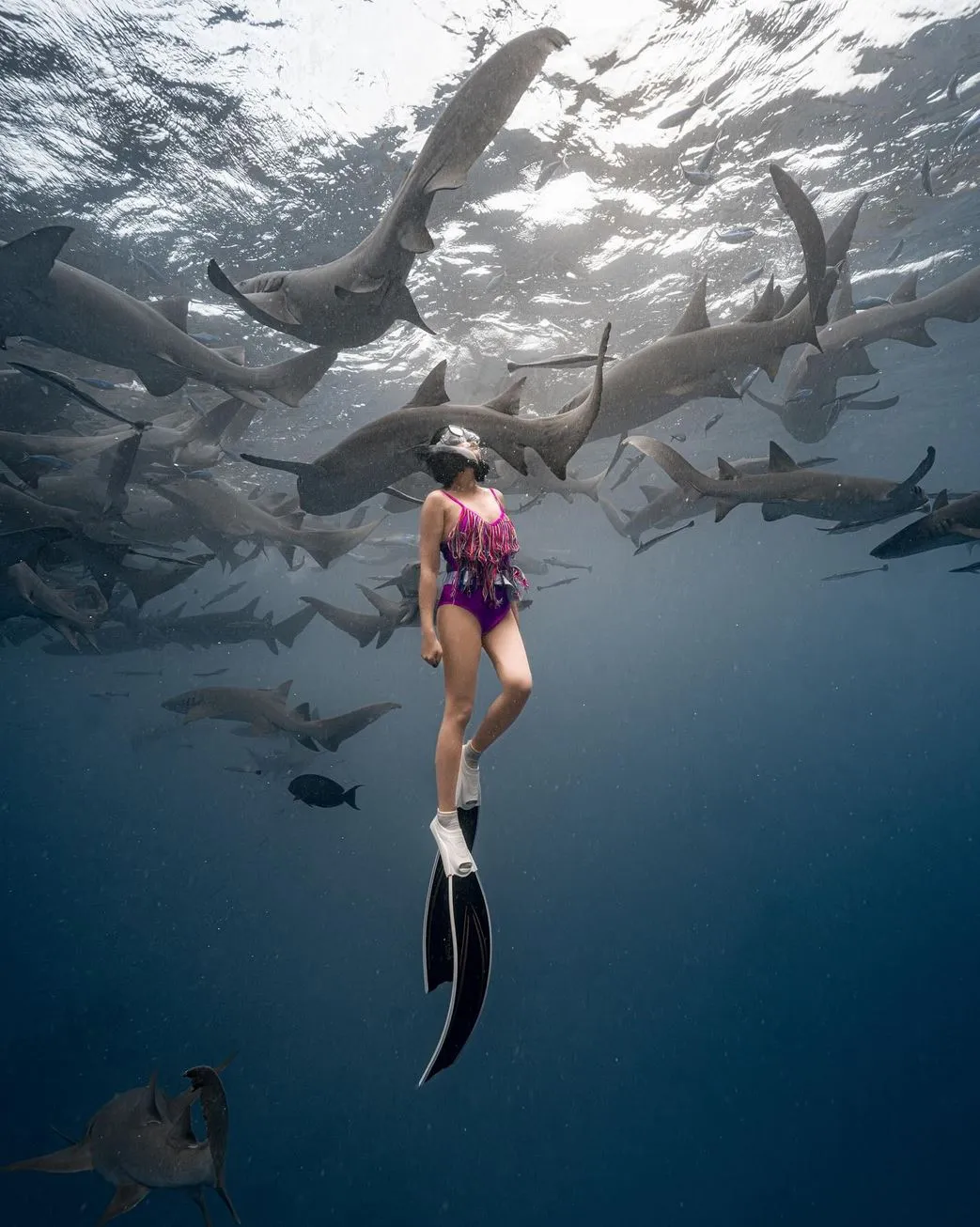 relais-semnon | Are There Sharks in the Maldives?