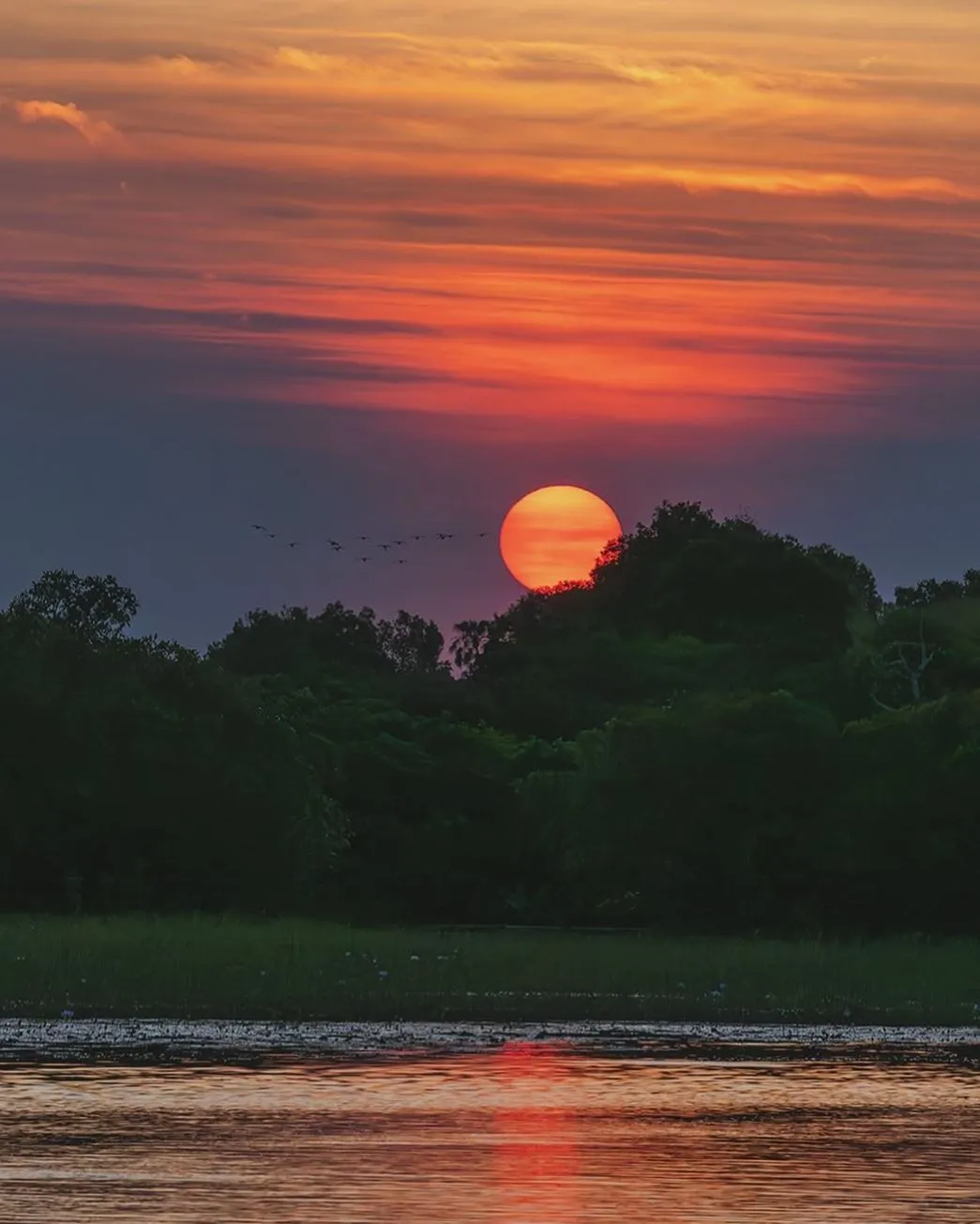 relais-semnon | How Is Climate Change Affecting Kakadu National Park?