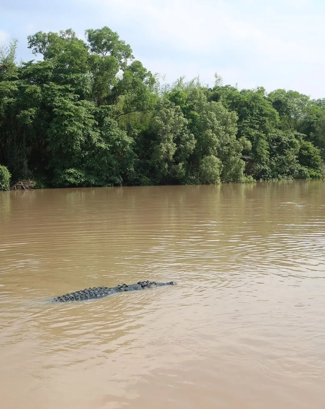 relais-semnon | How Is Climate Change Affecting Kakadu National Park?